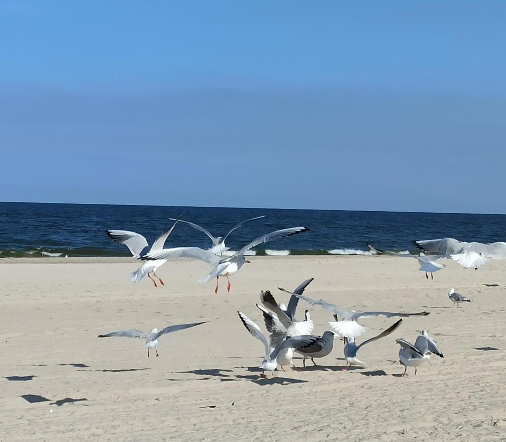 Ferienwohnung Strand25 Trassenheide Kültér fotó