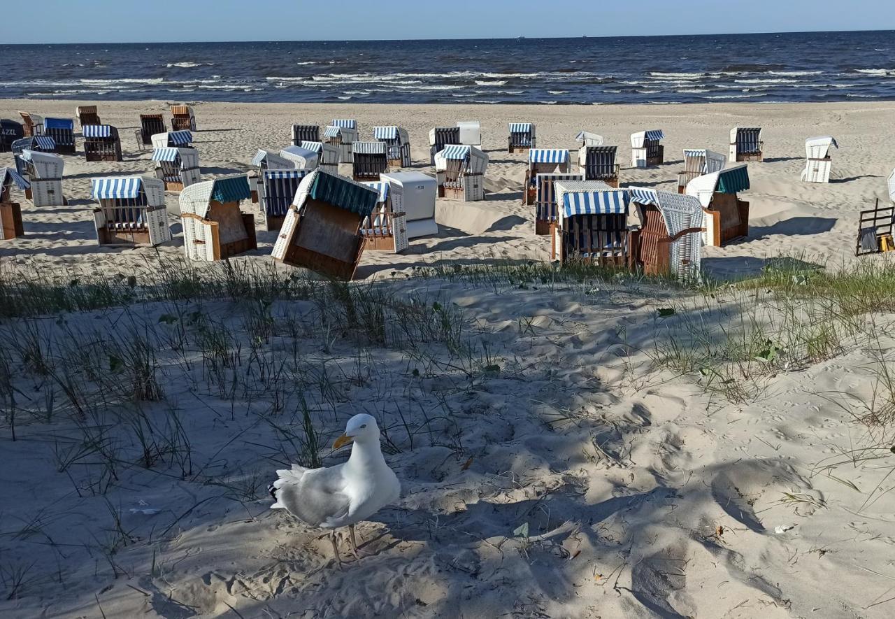 Ferienwohnung Strand25 Trassenheide Kültér fotó